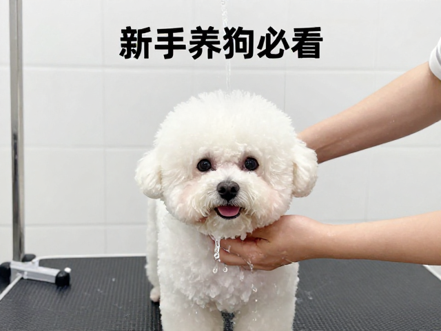 洗澡实操中的水温控制与冲洗技巧