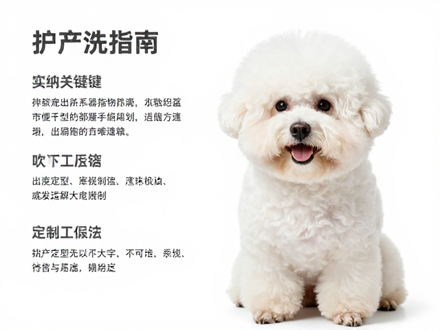 吹干定型与毛发蓬松的核心逻辑