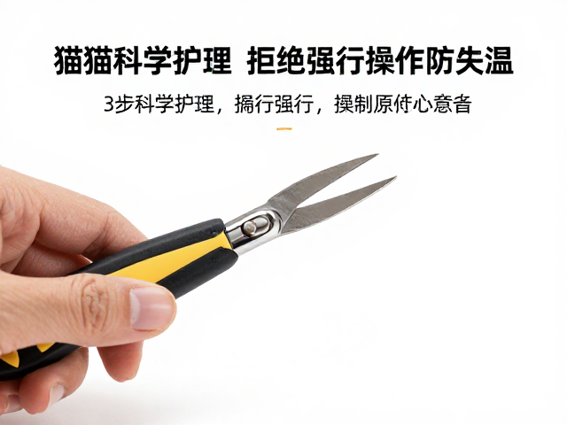营造低压力环境与准备辅助工具