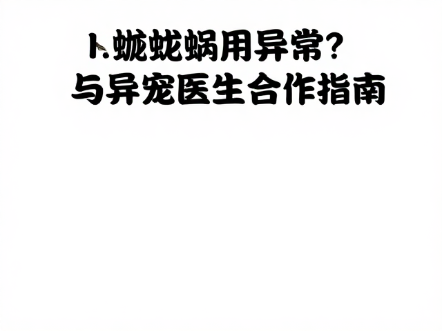高效合作与复诊管理指南