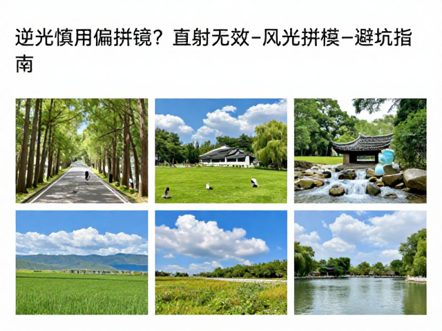 规避偏振镜误用的实战策略与替代方案