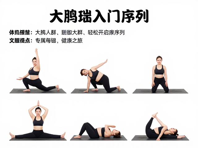 专属入门序列的安全要点与体式解析