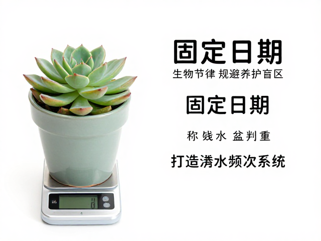 固定日期:利用生物节律规避养护盲区