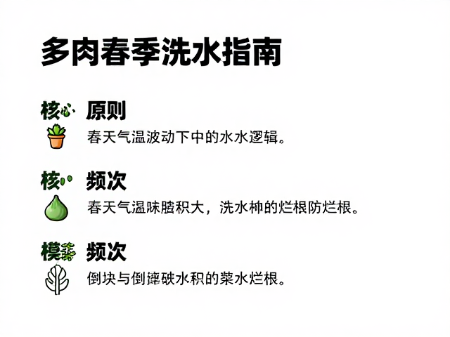 多肉春季浇水指南，核心原则、频次与倒掉积水防烂根技巧