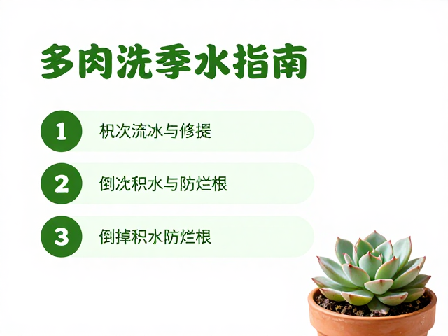 防烂根技巧：积水处理与盆土管理