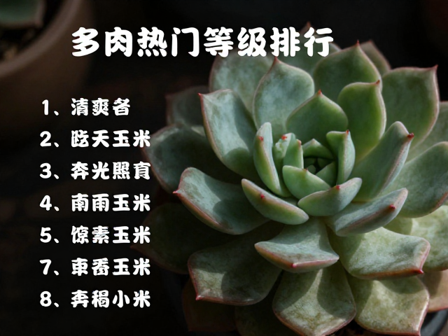 摄影造景中的光影与构图策略
