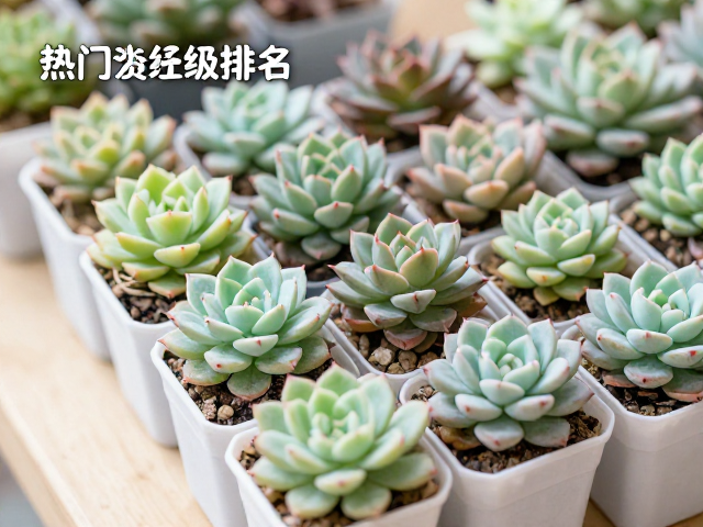 细节捕捉与后期处理的适度原则