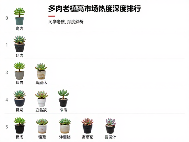 多肉老桩高价排行，热门等级与礼品盆栽市场热度深度解析