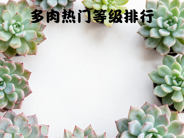 环境氛围营造与道具搭配美学