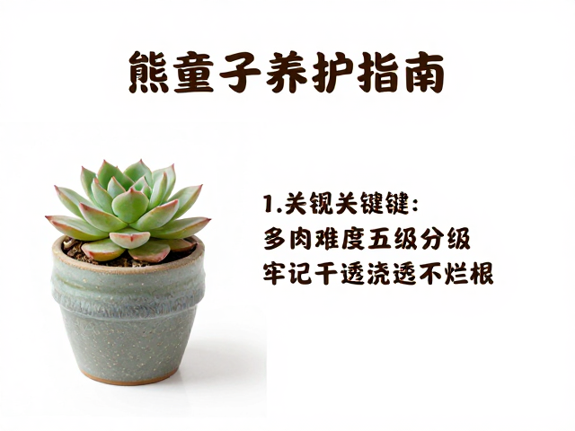 光照与温度管理