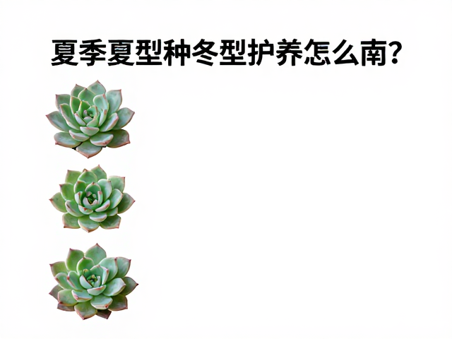 夏季休眠期的光照管理逻辑