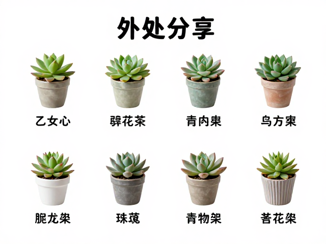 温度控制与季节性养护要点