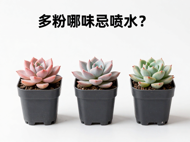 桌面小盆景的形态特征识别