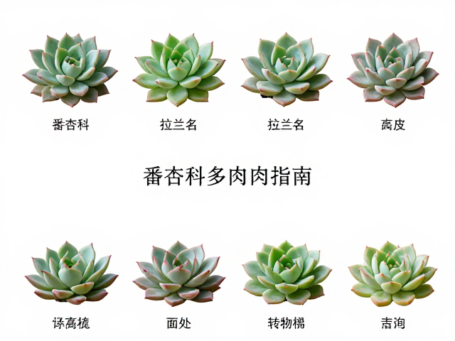 权威分类系统与检索工具