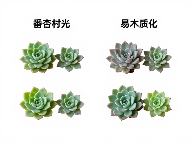 木质化对养护策略的影响与调整