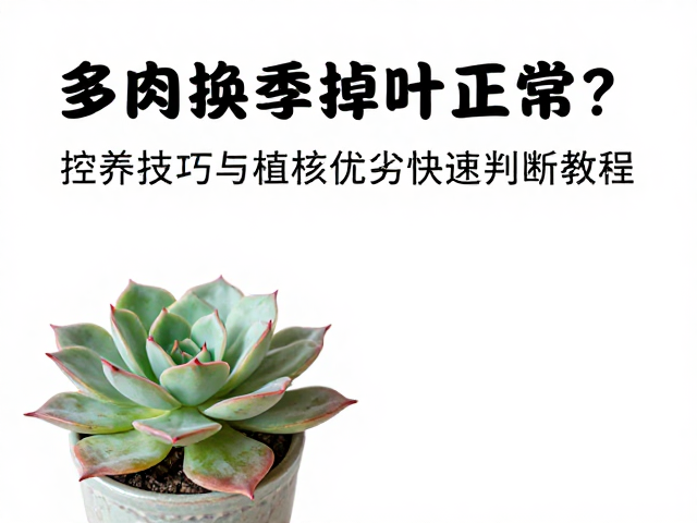 植株优劣的快速判断维度