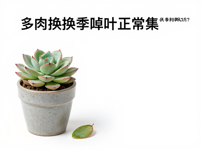 控养技巧与环境参数管理