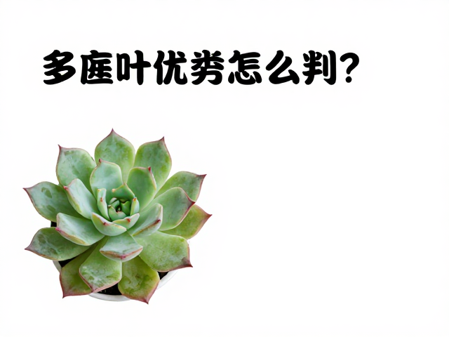 避免踩坑的筛选技巧