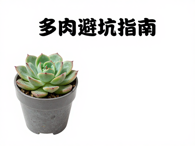 多肉避坑指南，拒虫卵斑痕，忽略本地气候必败！