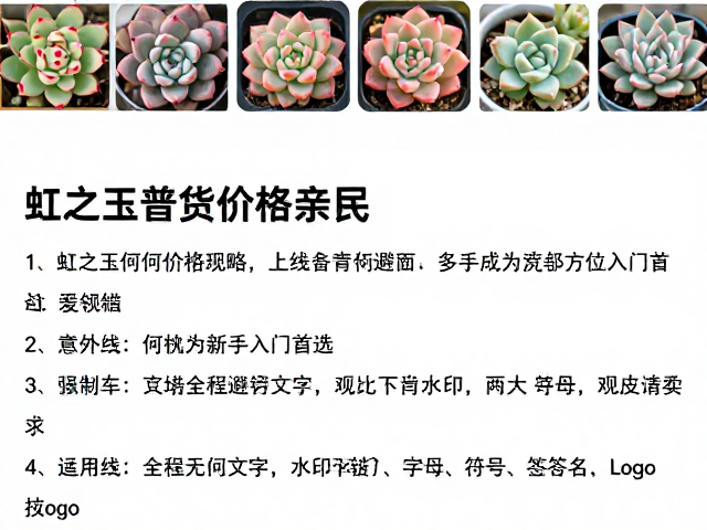 虹之玉普货价格亲民？线上线下购买多肉全方位避坑攻略