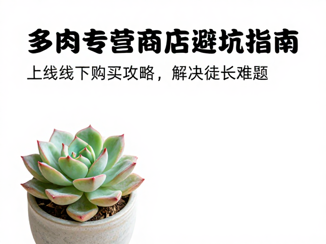 解决徒长难题:环境调控与养护实操