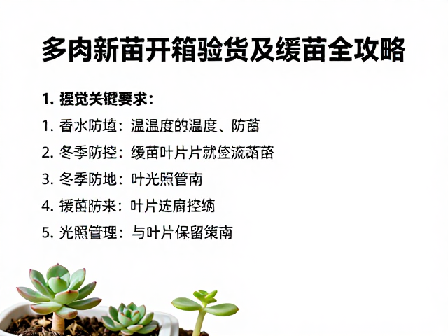 缓苗环境:温湿度控制与光照管理策略