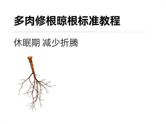 晾根的关键细节与环境控制