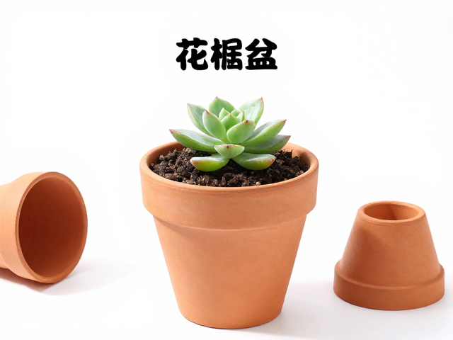 服盆期管理:光照与水分的精准调控