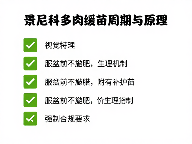 景天科多肉缓苗周期与原理，服盆前不施肥，附完整养护指南