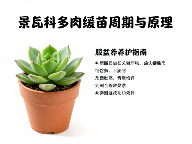 判断服盆成功的关键指标