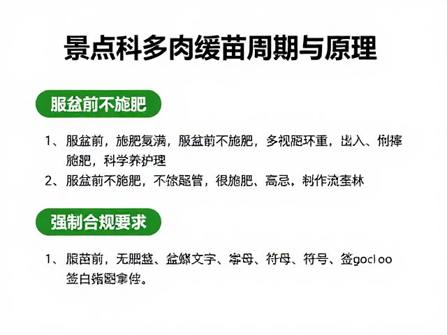 缓苗期施肥的禁忌与科学策略