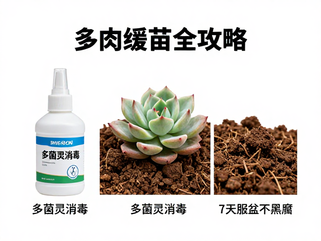 多菌灵消毒的科学用法与禁忌