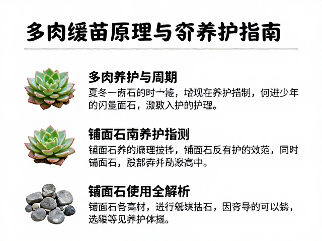 铺面石的操作规范与常见问题