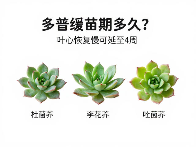 异常状态识别与应对策略