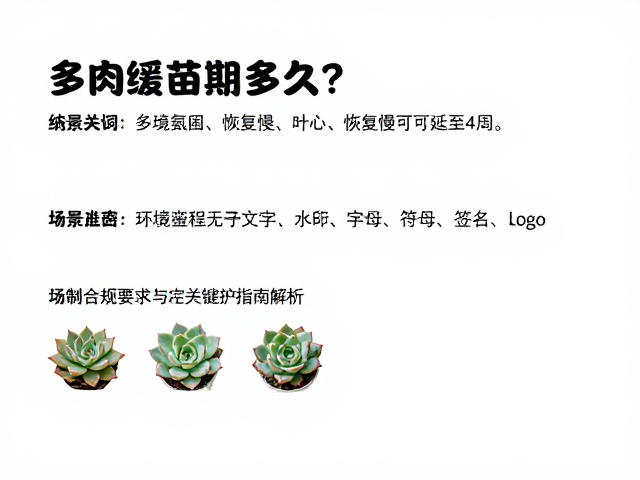 环境控制与关键养护细节