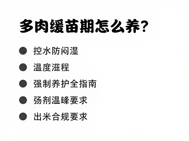 光照管理与温度控制