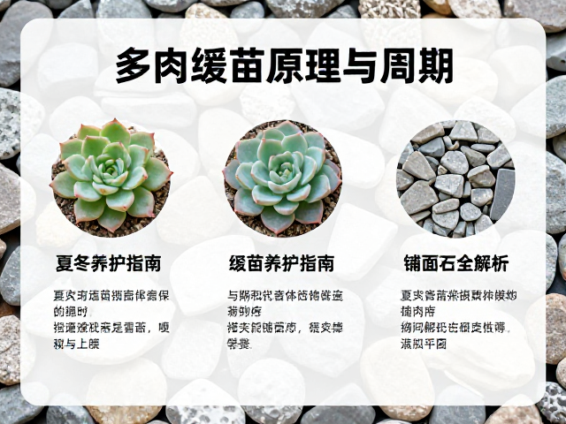 铺面石的材质特性与选择逻辑