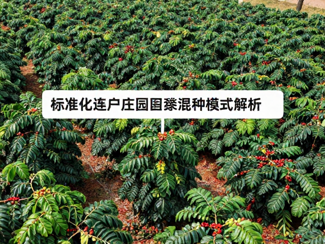 间作系统的物种选择与生态位互补机制