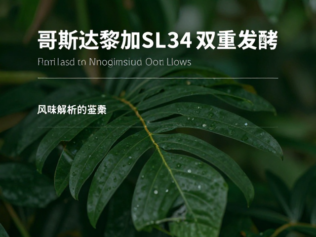 选购要点与品质鉴别指南