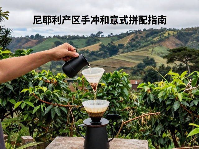 中南美洲精品咖啡,尼耶利产区手冲与意式拼配指南