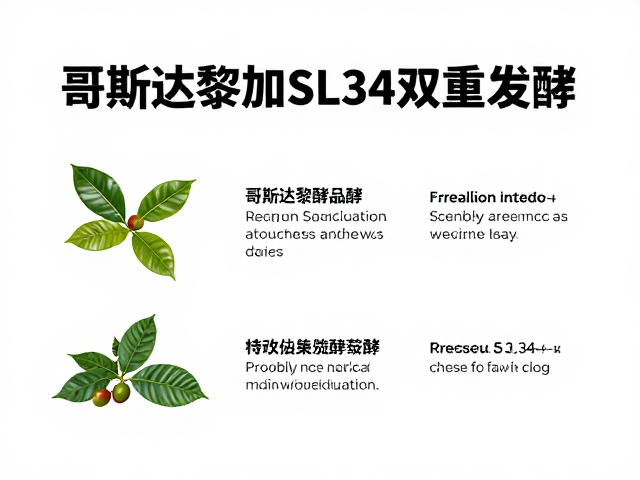 哥斯达黎加SL34双重发酵，风味解析与选购指南