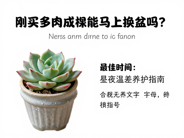 昼夜温差对多肉形态的影响