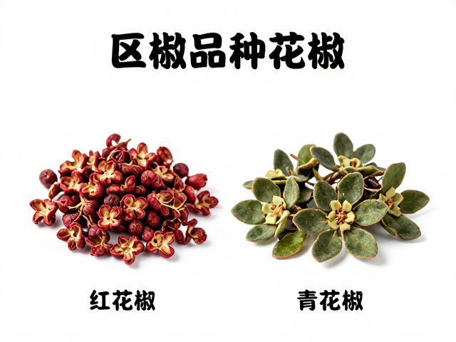 水煮系列豉香风味解析，如何区分花椒品种打造正宗口感