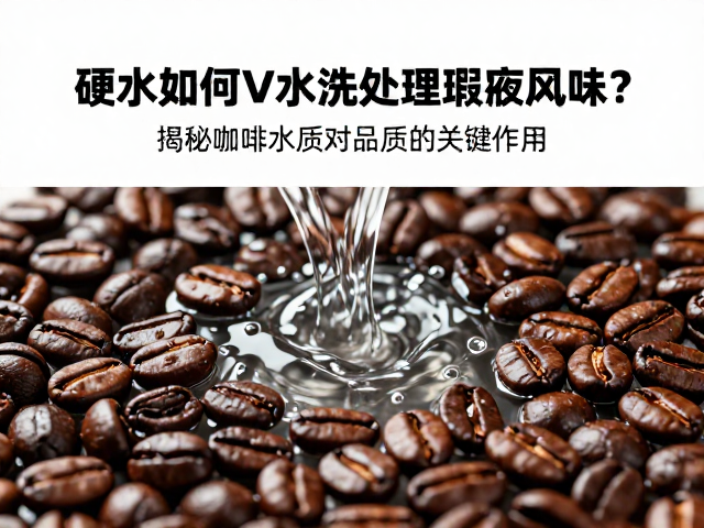 硬水成分对咖啡萃取动力学的化学干预