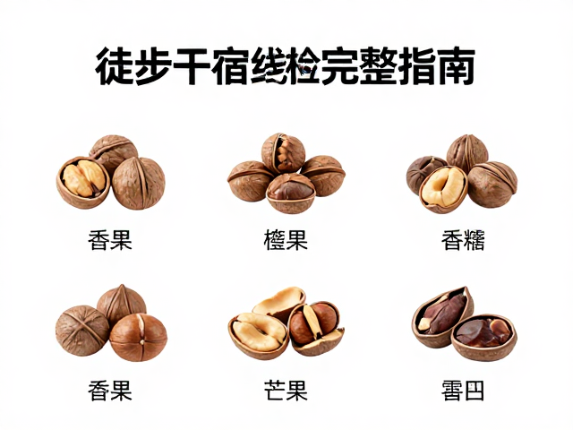 坚果与干果的营养选择与携带技巧