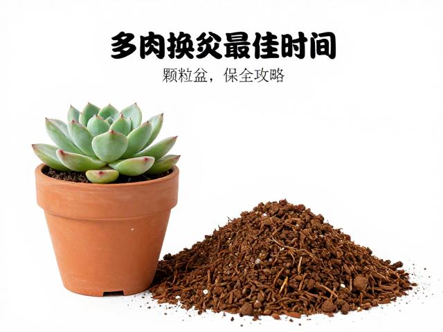 颗粒土配方的科学逻辑与材料选择