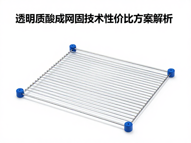 成本效益与长期价值评估