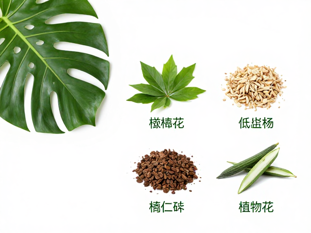 热带植物原料在深层保湿中的科学机制