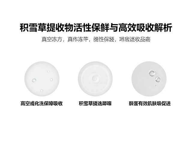 高效吸收的透皮屏障突破与递送系统