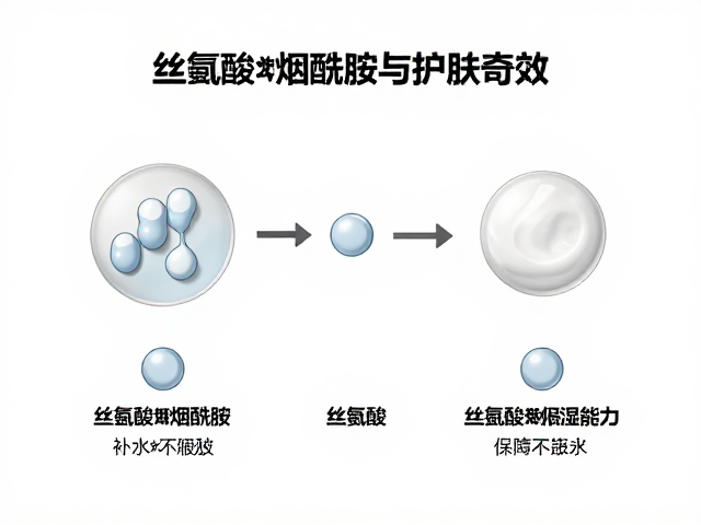 丝氨酸搭配烟酰胺,揭秘顶尖补水保湿能力与护肤奇效
